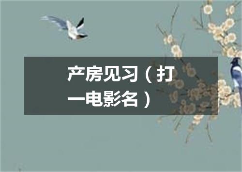 产房见习（打一电影名）