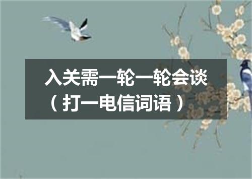 入关需一轮一轮会谈（打一电信词语）