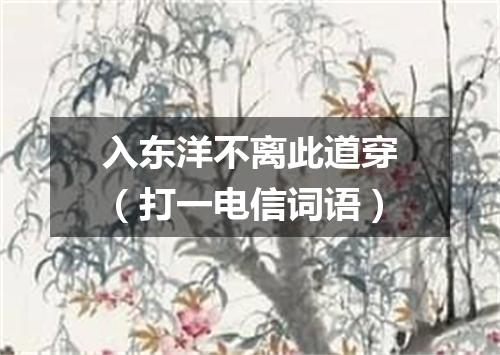 入东洋不离此道穿（打一电信词语）