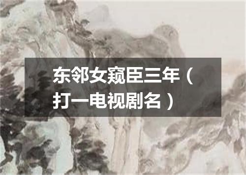 东邻女窥臣三年（打一电视剧名）