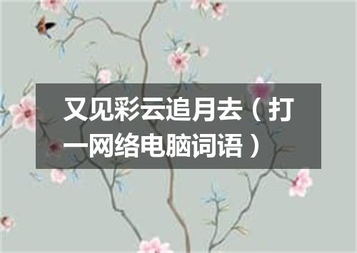 又见彩云追月去（打一网络电脑词语）