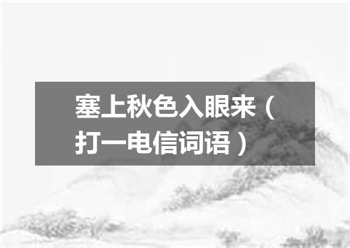 塞上秋色入眼来（打一电信词语）