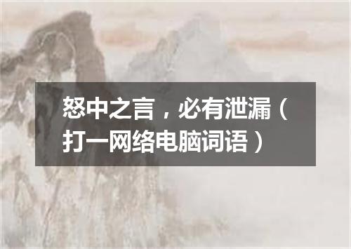 怒中之言，必有泄漏（打一网络电脑词语）