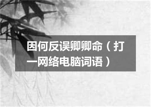 因何反误卿卿命（打一网络电脑词语）