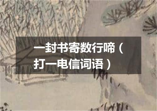 一封书寄数行啼（打一电信词语）