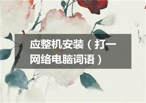 应整机安装（打一网络电脑词语）