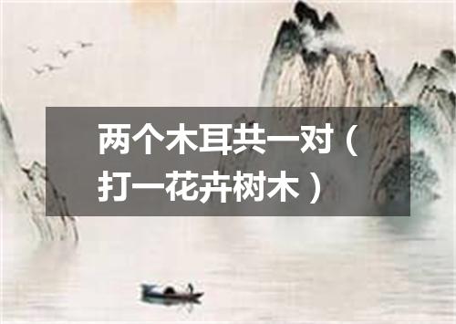 两个木耳共一对（打一花卉树木）