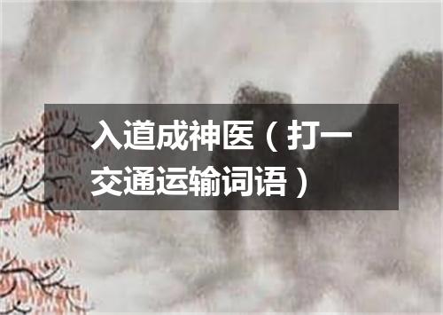入道成神医（打一交通运输词语）