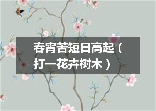 春宵苦短日高起（打一花卉树木）