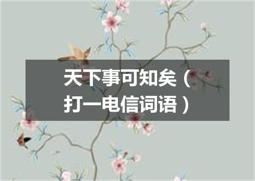 天下事可知矣（打一电信词语）