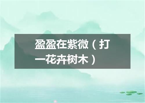 盈盈在紫微（打一花卉树木）