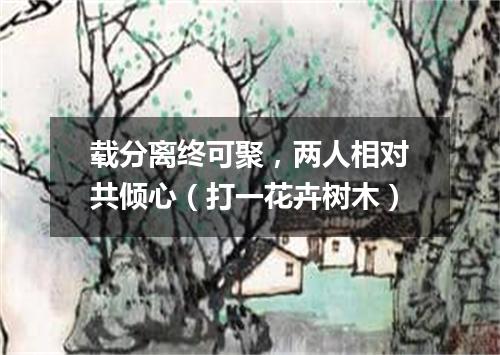 载分离终可聚，两人相对共倾心（打一花卉树木）