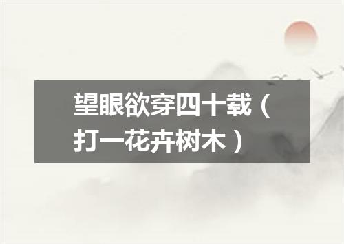 望眼欲穿四十载（打一花卉树木）