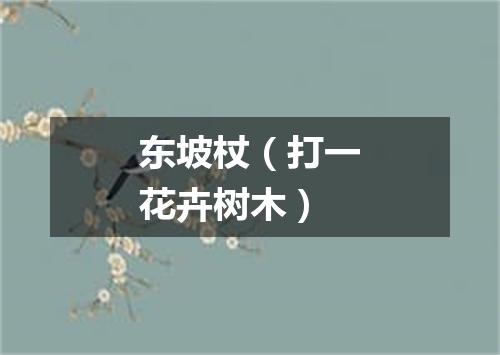 东坡杖（打一花卉树木）