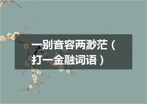 一别音容两渺茫（打一金融词语）