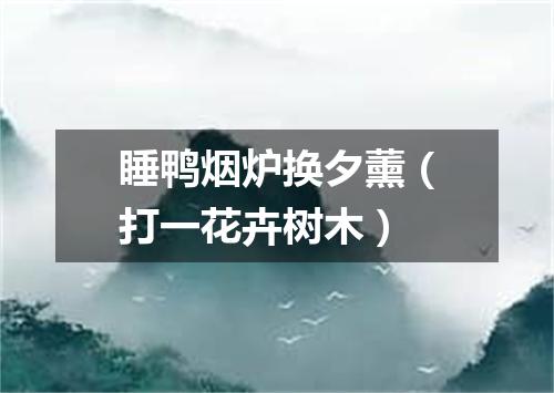 睡鸭烟炉换夕薰（打一花卉树木）