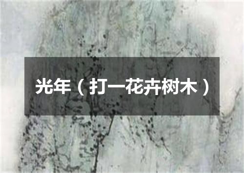 光年（打一花卉树木）