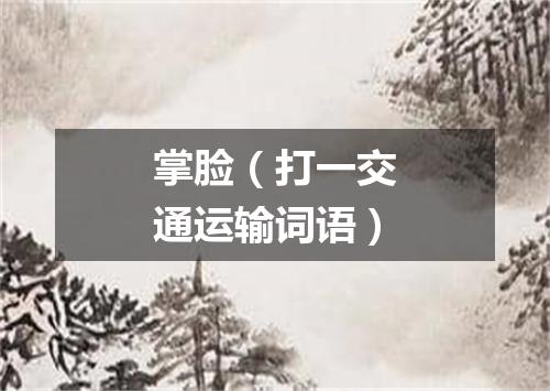 掌脸（打一交通运输词语）