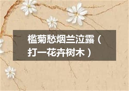槛菊愁烟兰泣露（打一花卉树木）
