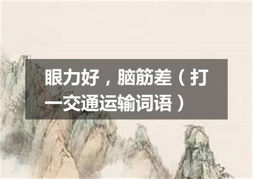 眼力好，脑筋差（打一交通运输词语）