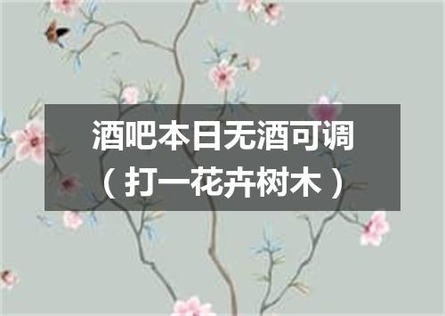 酒吧本日无酒可调（打一花卉树木）