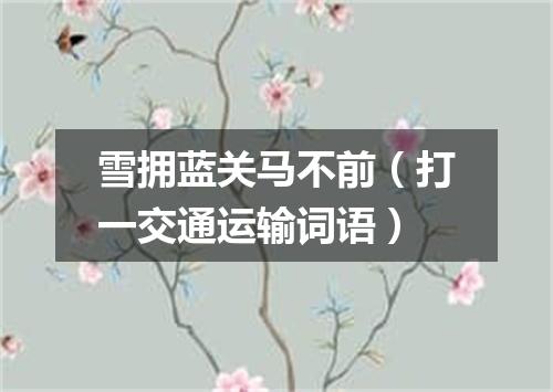 雪拥蓝关马不前（打一交通运输词语）
