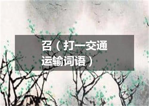召（打一交通运输词语）