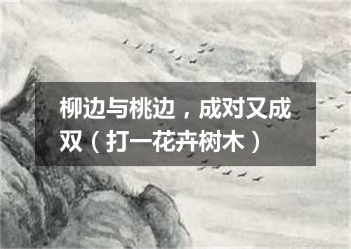 柳边与桃边，成对又成双（打一花卉树木）
