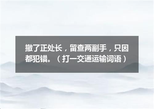 撤了正处长，留查两副手，只因都犯错。（打一交通运输词语）