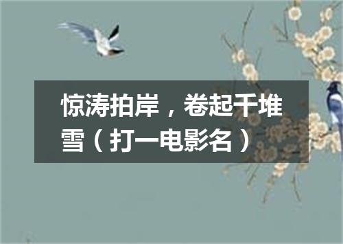 惊涛拍岸，卷起千堆雪（打一电影名）
