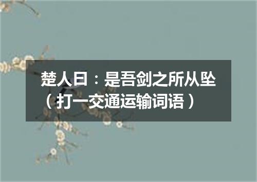 楚人曰：是吾剑之所从坠（打一交通运输词语）