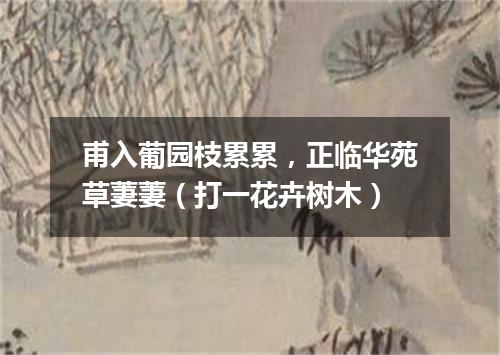 甫入葡园枝累累，正临华苑草萋萋（打一花卉树木）