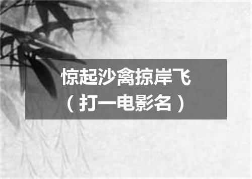 惊起沙禽掠岸飞（打一电影名）