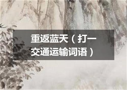 重返蓝天（打一交通运输词语）