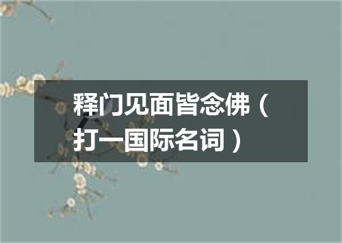 释门见面皆念佛（打一国际名词）