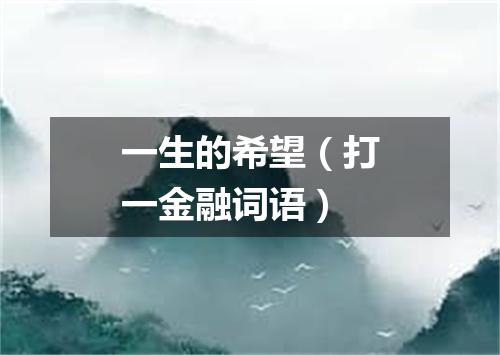 一生的希望（打一金融词语）