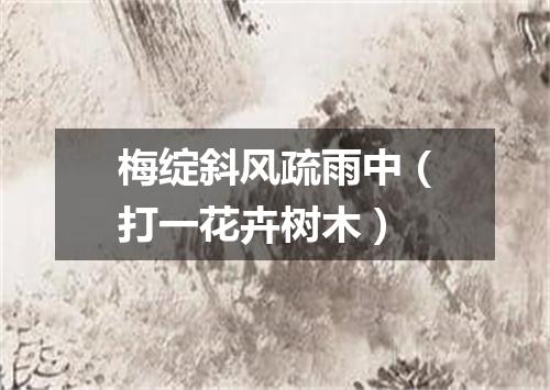 梅绽斜风疏雨中（打一花卉树木）
