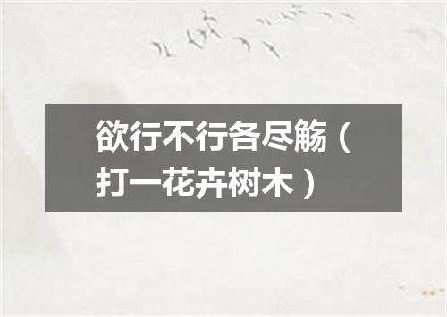欲行不行各尽觞（打一花卉树木）