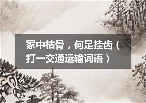 冢中枯骨，何足挂齿（打一交通运输词语）
