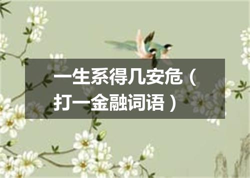 一生系得几安危（打一金融词语）