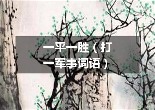 一平一胜（打一军事词语）