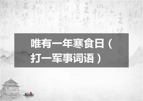 唯有一年寒食日（打一军事词语）