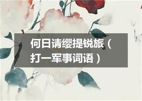 何日请缨提锐旅（打一军事词语）