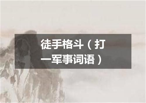 徒手格斗（打一军事词语）