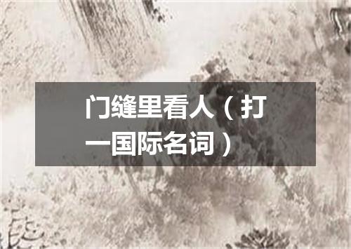 门缝里看人（打一国际名词）