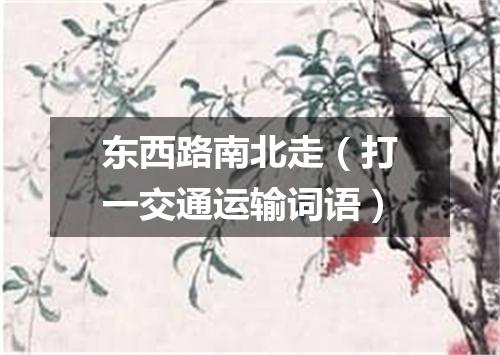 东西路南北走（打一交通运输词语）