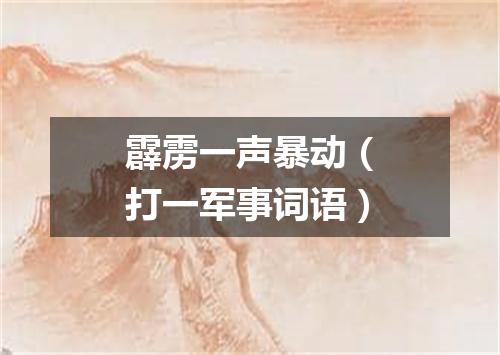 霹雳一声暴动（打一军事词语）