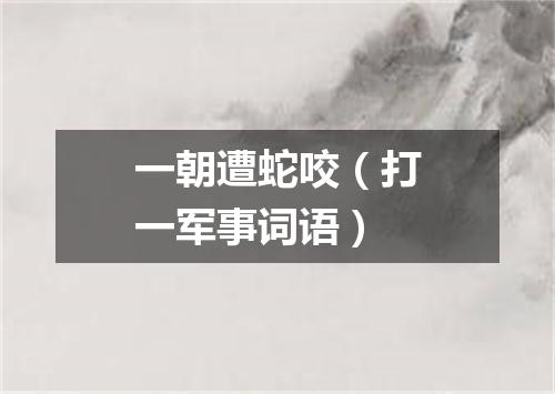 一朝遭蛇咬（打一军事词语）