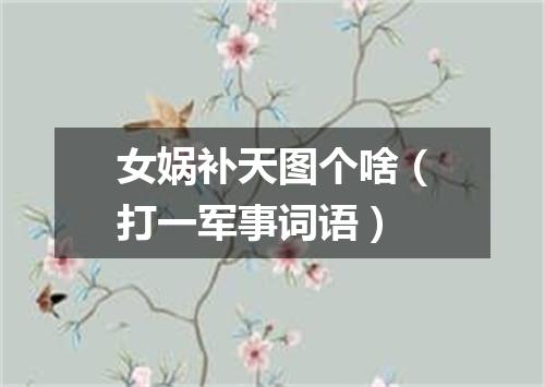 女娲补天图个啥（打一军事词语）