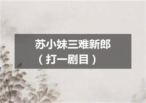 苏小妹三难新郎（打一剧目）